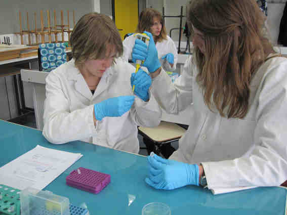 bischwiller